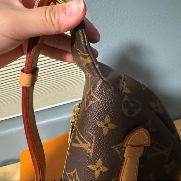 Louis Vuitton Bumbag - Picture 5 of 11